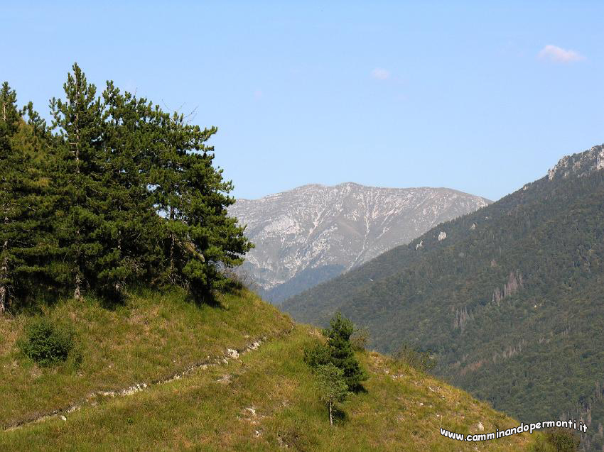 13 Cima Grem.JPG
